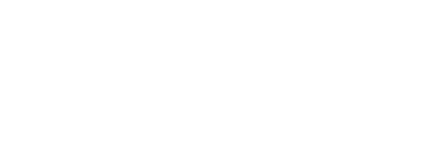 『カモメに飛ぶことを教えた猫』